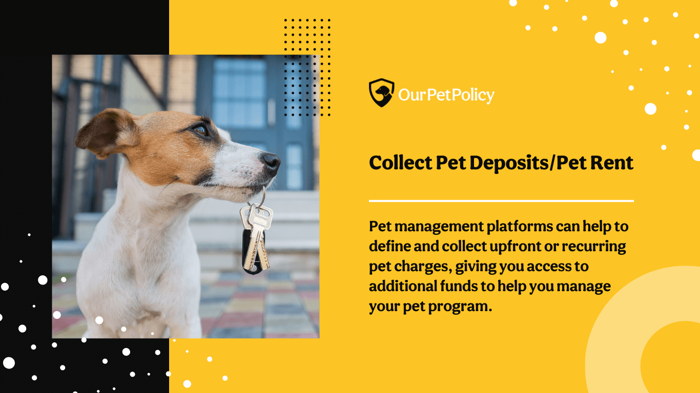 Collect pet deposits or pet rent