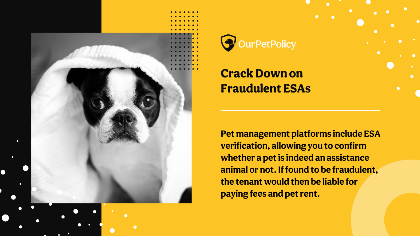 Crack down on fraudulent ESA