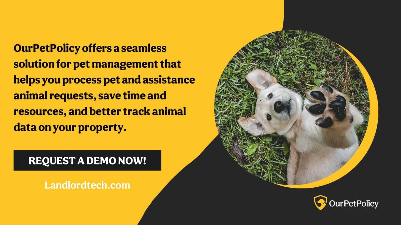 Demo