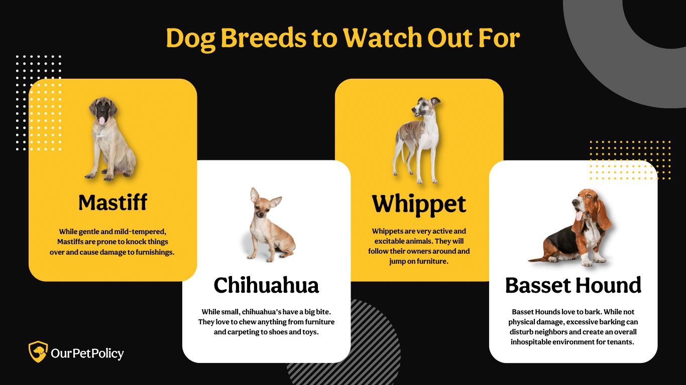 Pet damage reduction from pet platform