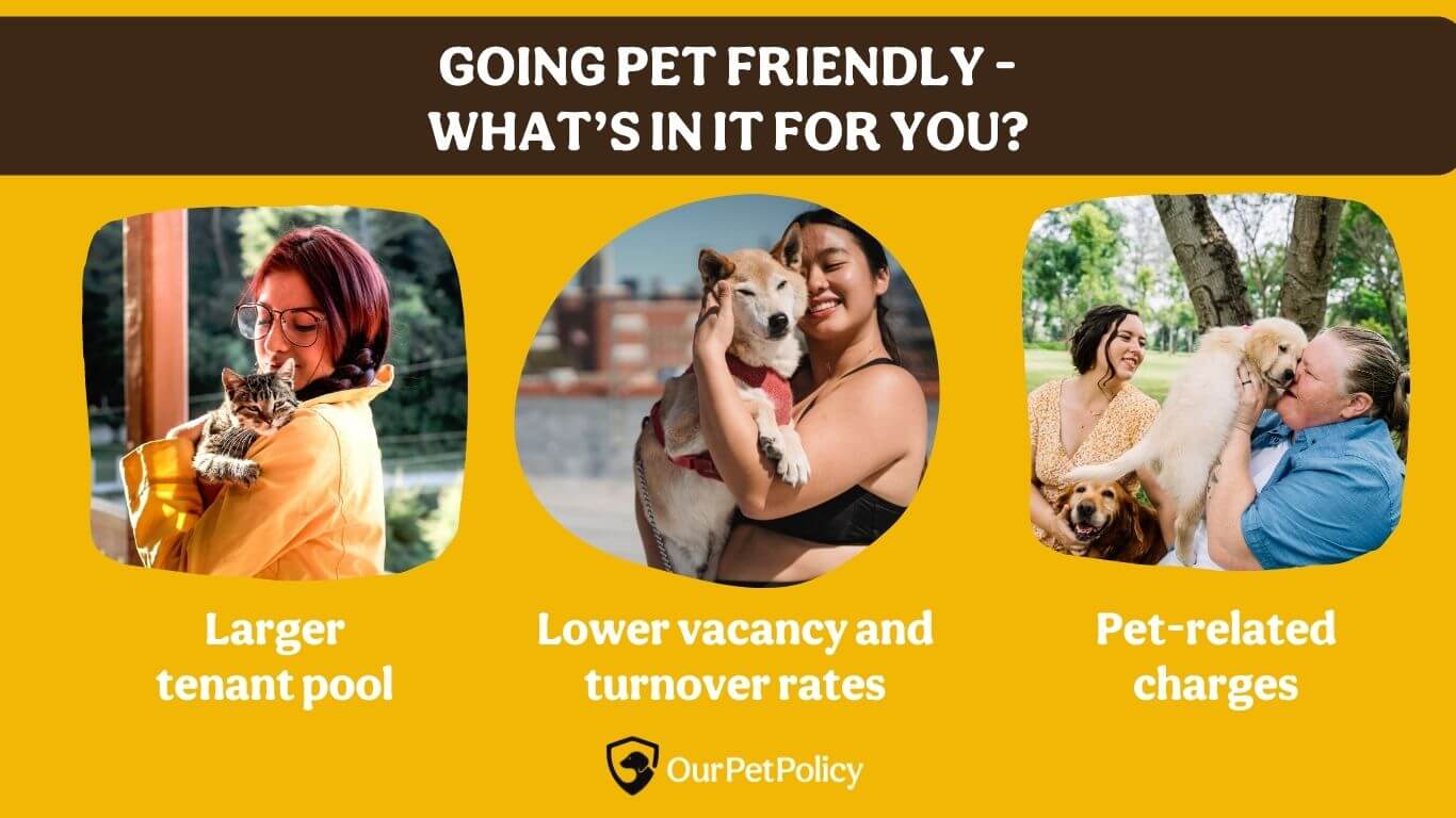 Why go pet-friendly